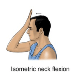 Static Neck Flexion and Extension - Gym Hero