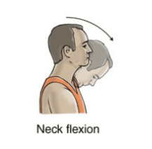Neck Strain Rehabilitation Exercises