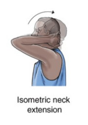 neck stretches handout
