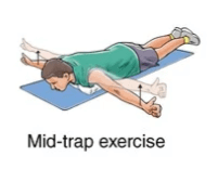 Physiotherapy Exercises For Upper Back Pain (with Pictures