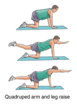 Upper Back Strain Rehabilitation Exercises