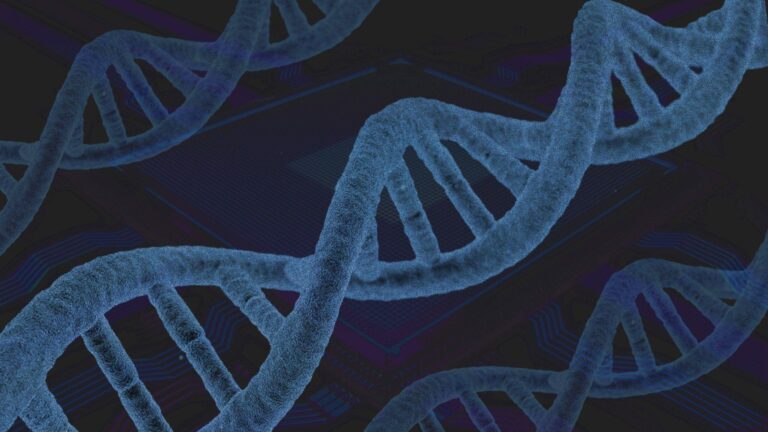 what is stem cell therapy