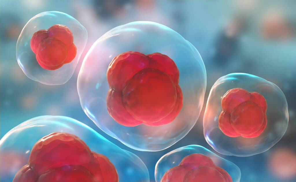 cost of stem cell therapy in Charlotte NC