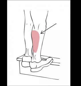 Calf Stretch on a Step Exercise in Charlotte