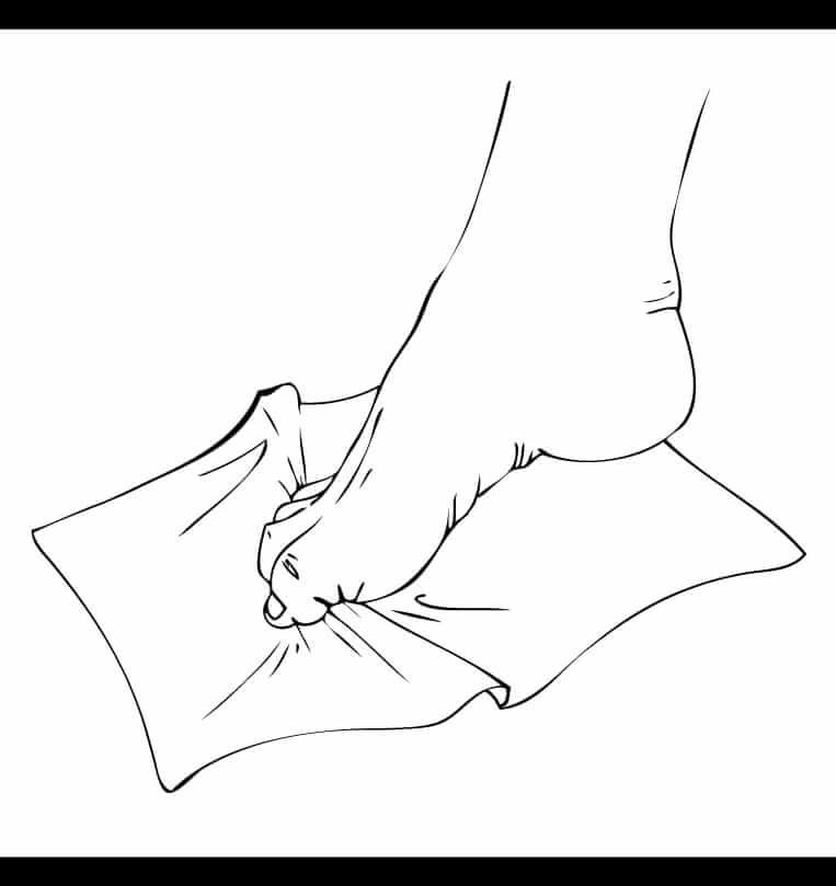 Toe Curl Exercise With Towel in Charlotte