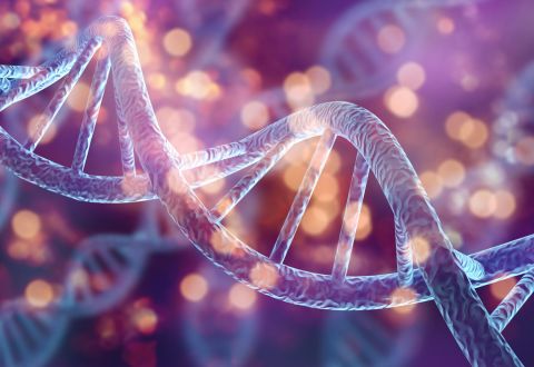 Platelet-rich plasma preparation for regenerative medicine treatment